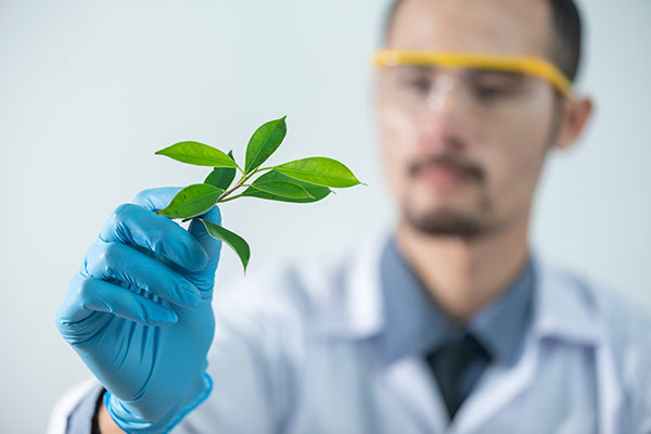 Ein junger Mann mit Schutzbrille, Laborkittel und Gummihandschuhen betrachtet eine kleine Pflanze in seiner Hand.