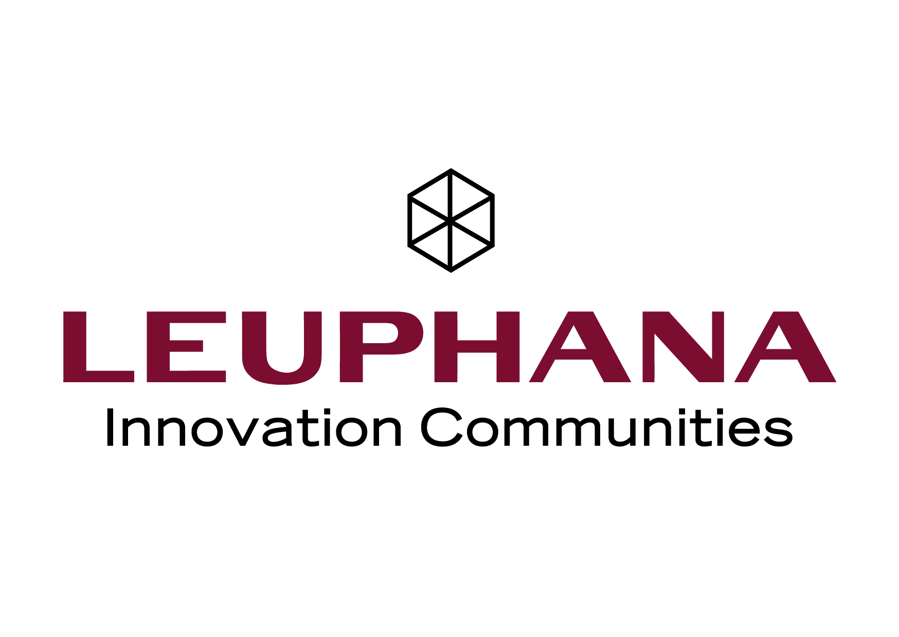 Leuphana Innovation Community Social Innovation & Entrepreneurship